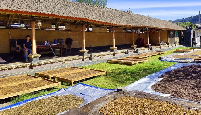PURI_COFFEE_WITH_TRADITIONAL_PROCESS